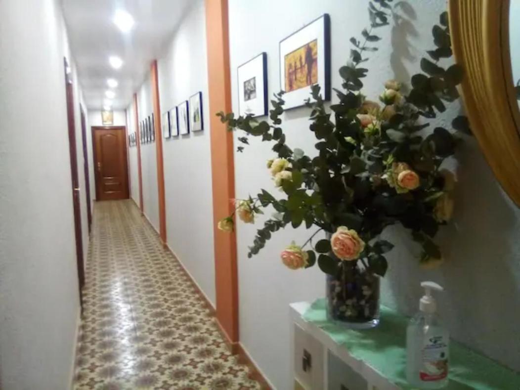 Las Golondrinas Zaragoza Habitacion Individual Екстериор снимка